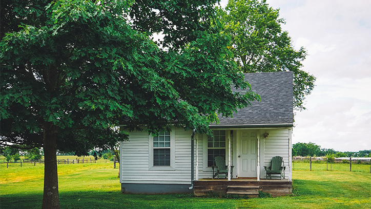 Không trồng những loại cây có tán che phủ quá rộng