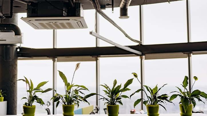 Thanh lọc không khí