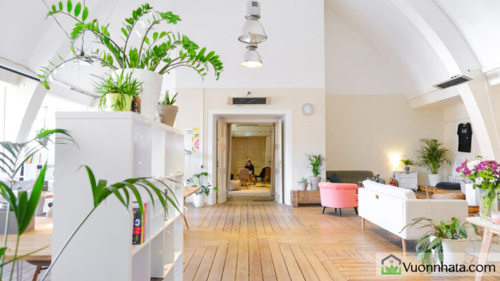 Những lưu ý khi chọn cây và chọn hoa cho tuổi Mùi