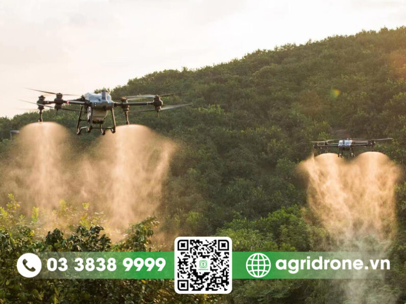 AgriDrone hướng dẫn sử dụng máy bay phun thuốc DJI T20P