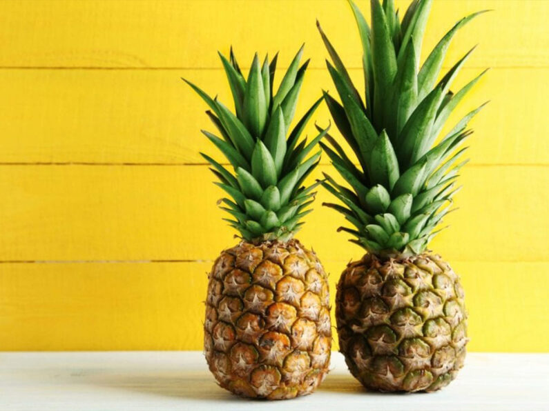 Quả dứa tượng trưng cho sự giàu có và thịnh vượng