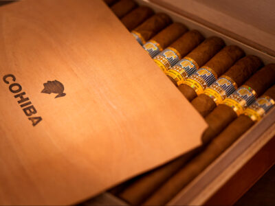 Xì Gà Tùng Dương - Địa chỉ bán xì gà Cohiba chính hãng uy tín