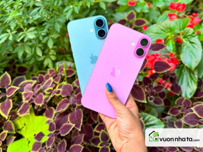 Mua iPhone 16 cũ tại XTmobile, nhận loạt ưu đãi cực hời